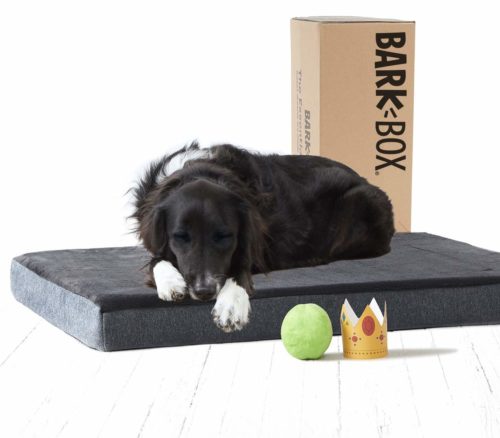  BarkBox Memory Foam Dog Bed Multiple Sizes/Colors