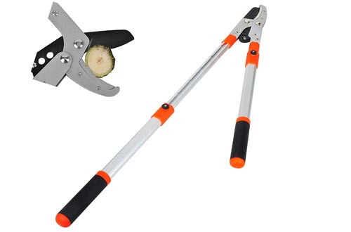 THANOS Pruning Loppers