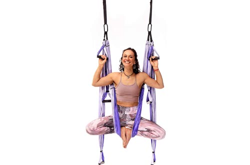 YOGABODY Yoga Trapeze Pro – Yoga Inversion Swings with Free Video Series and Pose Chart, Purple