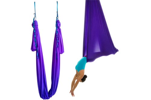 WELLSEM Aerial Yoga Hammock 5.5 Yards Yoga Swings Pilates Silk Home Fitness Include Carabiner,Daisy Chain, Pose Guide