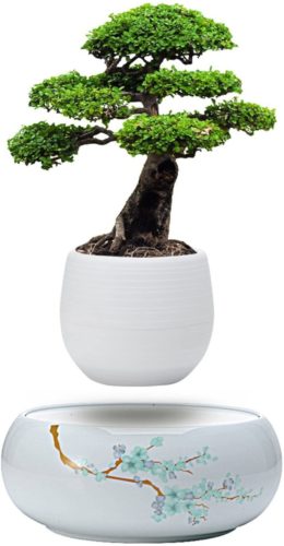 Active Gear Guy Levitating Mini Plant Pot with Japanese Style Design for Flowers Or Bonsai. Magnetic Levitation Creates A Beautiful Floating Display.
