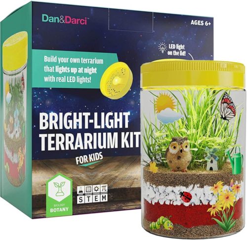 tiny terrarium kit