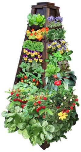 vertical garden plants