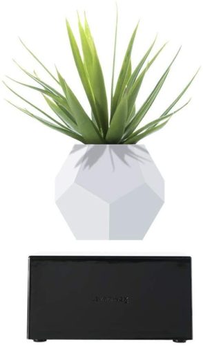 Levitating Plant Vase Pot for Home Office Decor, Wireless Rechargeable, Magnetic Levitation, Floating Air Bonsai Plant