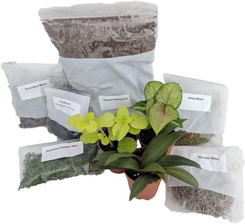 self-sustaining terrarium kit