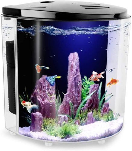 FREESEA 1.4 Gallon Betta Aquarium Fish Tank with LED Light and Filter Pump